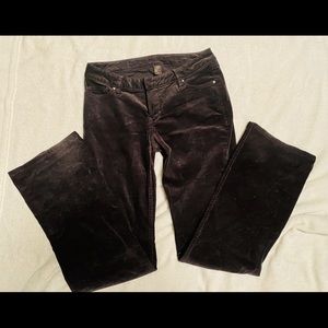 CHRISTOPHER BLUE Chocolate Velvet pants. Size 6.